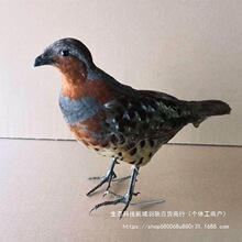 �¿��񼦼�ý��ģ��԰���񼦻����񼦰ڼ�������ë�񼦼�