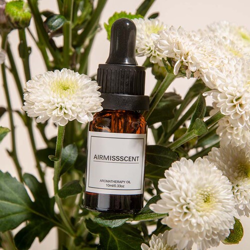 Manufacturer's direct sales. Essential oil for aromatherapy machine, jasmine fragrance, 10ml wholesale 