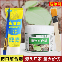植物伤口愈合剂盆栽涂抹剂切口愈伤膏果树嫁接涂补剂树木涂膜剂