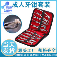 成人牙钳套装牙科拔牙钳套装十把牙科钳子不锈钢器械微创拔牙器械