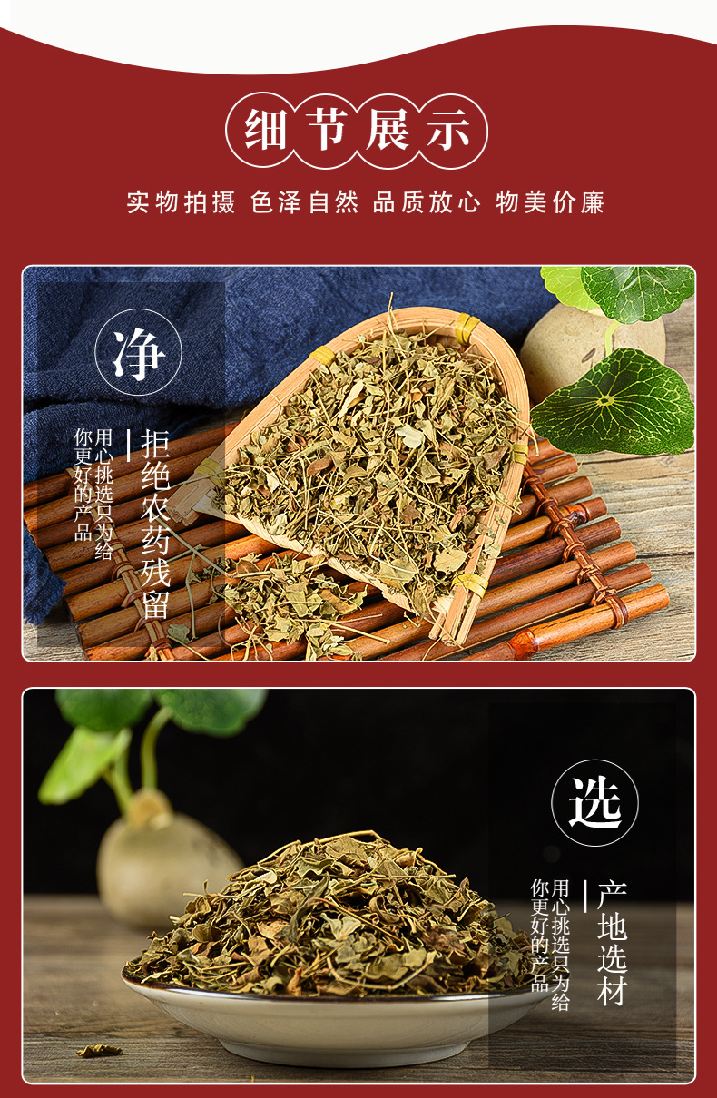 Moringa Leaf (Moringa oleifera) — Dried Food Herb, 500g Wholesale Pack quality and texture