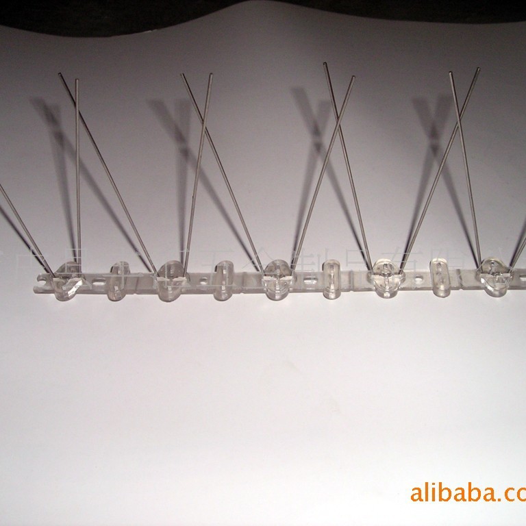 供应驱鸟刺(图)塑料鸟刺  建筑用不锈钢鸟刺厂家