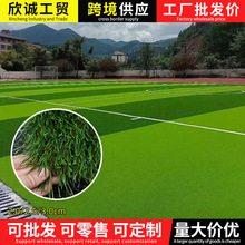 ��ݷ����ƺ��̺�������G��Ƥ�׃��@��Y����������˹���ƺ