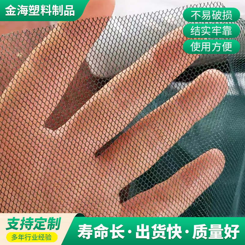 厂家销售银鱼网塑料挤出轻质围栏网 玉米围栏网鸭鹅养鸡养殖网