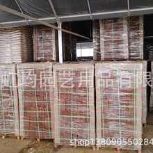 ӡ��Ҭ�u����ȫֲ������������|���������ЙC�� �o��������|��