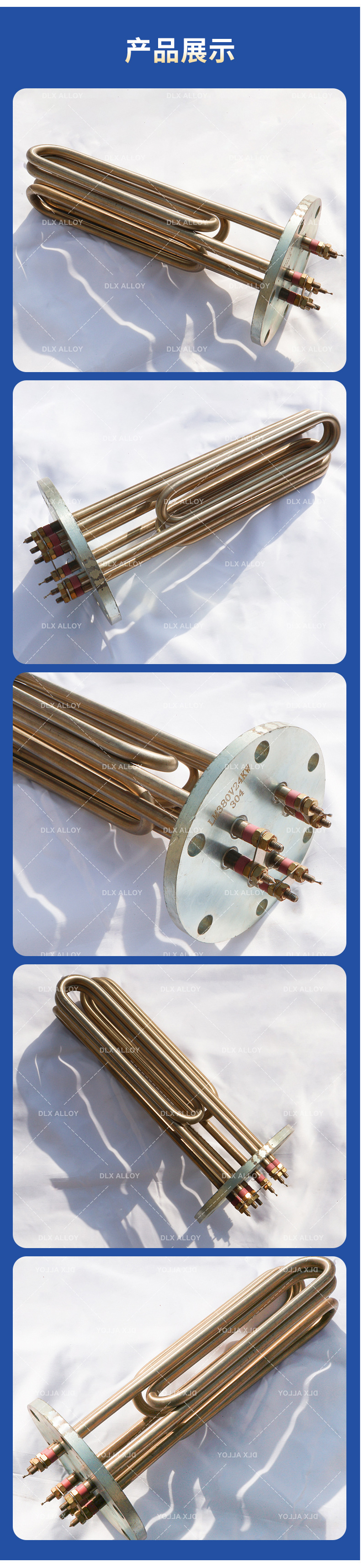 法兰浸入式加热器