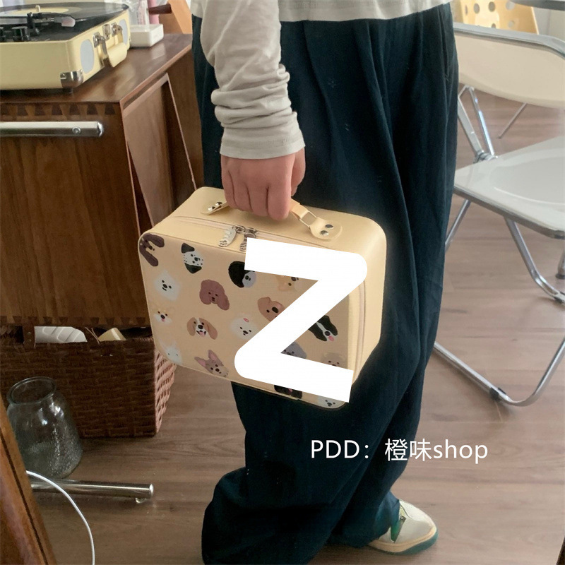 Cosmetic Bag Mirror Large Capacity New Portable Cosmetic Case Suitcase Cute Travel Toiletry Storage Storage Box