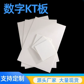 广告板;科教玩具;场地布置道具