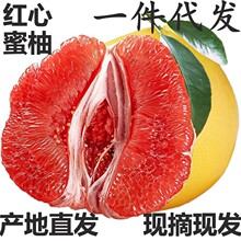 正宗红心蜜柚子新鲜蜜柚水果红肉多汁大果非沙田柚三红柚管溪红柚