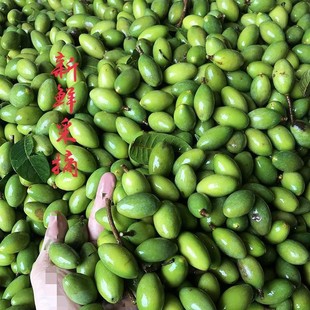 ���r�ϙ����ϙ��ˮ��������ЋD�Ҝ������}��̴����`�帣����S