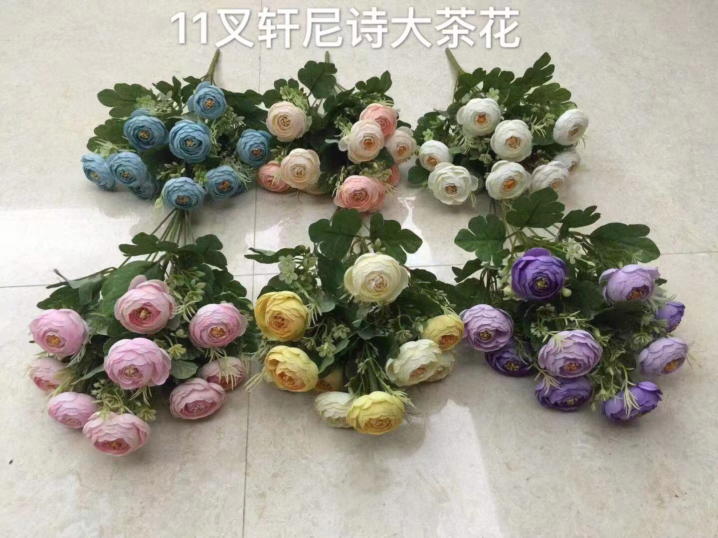 10头轩尼诗大山茶花