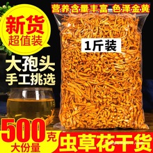 ����x�ݻ�500g��؛��Ʒ��Ұɽ�������x�ݹ��Ҝ�����һ�ﱱ�x��