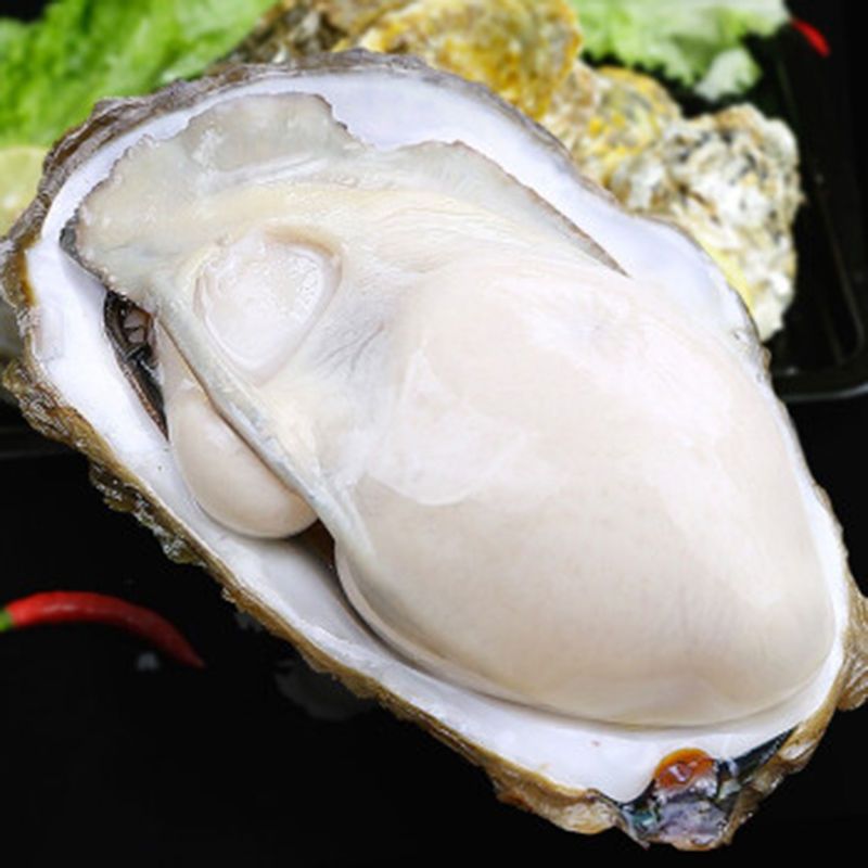 野生海捕生蚝鲜活一箱1-5斤新鲜大牡蛎海蛎子海鲜水产整箱速卖通