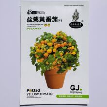 �����ٿ�С���ѷN�Ӽt�}Ů���ҷ��Ѻ��������t���N�ӷ������Է���