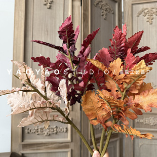 ��ɫ�y�~�� �����Ե��� ��ɫ�����b��Ĕz������ݾGֲ�廨���