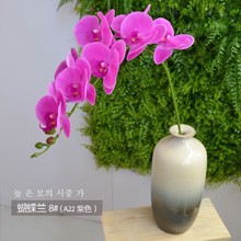 Sֱcٻߙn֦ܲػ[ŷָкm