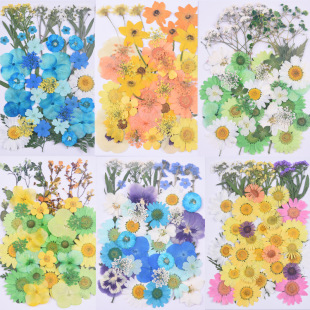 Dried Flower Embossed Material Bag diy Handmade Bookmark Plant Specimen Flower Mobile Phone Case Photo Frame Jewelry Cross-border Exclusive