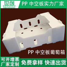 pp�пհ��������������D����������ۯBѭ�hʹ��ˮ����