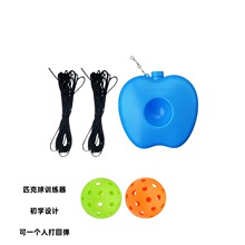 Ƥ����؏�����pickleballƥ����Ӗ�����������W�߆��ˎ����ߏ���