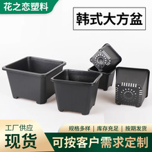 �¿�����ϻ����̖�Ӻ�����ɫ�辰�������ԾG�}����������