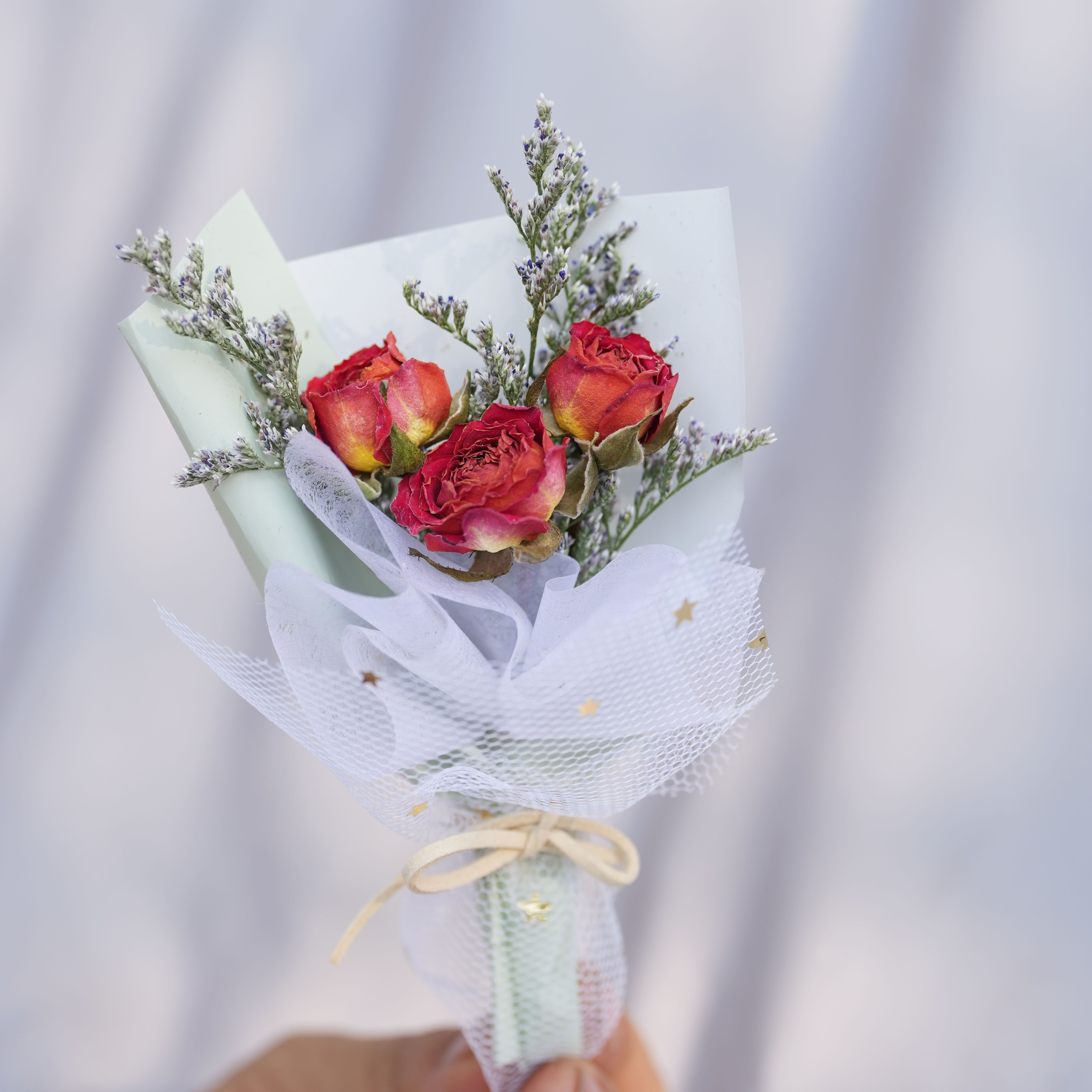 미니 오렌지 로즈