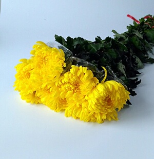 �S�׾ջ��r�л�ˮ�B��������������ɽ����ֱ�l�V�ݻ������l