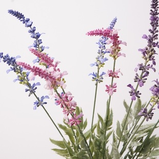 ޹�²���β�����K��С�黨СҰ���b�ˇ��@���滨޹�²ݼٻ�