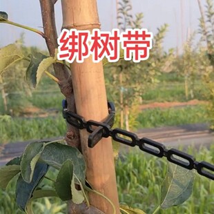 �¿�䎧������͹̶��������L�����@�����������������������