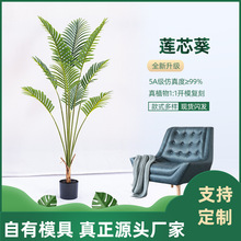 源头厂家仿真葵树东南亚餐厅装饰盆栽摆件仿真绿植莲芯葵仿真植物