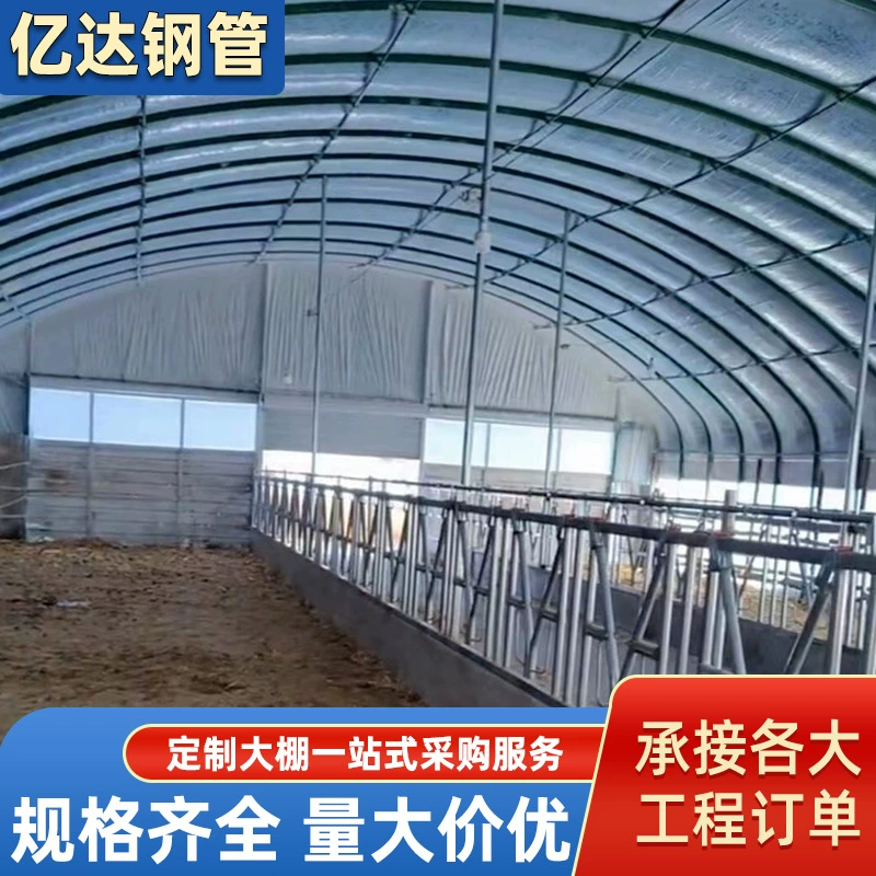 Теплица из стальных труб, оцинкованные трубы 25 мм для овощей, аксессуары для теплиц и курятников