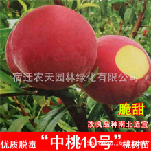 �Ҙ����޽��Ҙ���ˮ���Ҙ����S�Ҙ��箔��Y���Ϸ������Nֲ����
