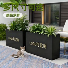 �����Fˇ������ڸ����L���ηNֲ���仨����Ʒ���ܽM�ϲ��P䓻���