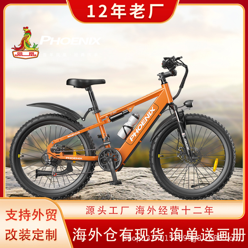 Bicicletas eléctricas asistidas por Phoenix Vehículo eléctrico masculino para mujeres Bicicletas eléctricas asistidas por litio Bicicletas de viaje