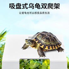 ������̨�����ڹ�ɹ̨�ڹ�������̨��Ϣɹ��̨�ڹ���Ϣ̨ɹ̨ƽ̨