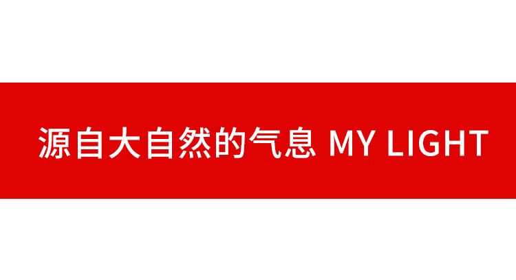 亚马逊led户外庭院装饰藤条灯 新款绿叶藤彩灯 太阳能枫叶藤灯串详情41