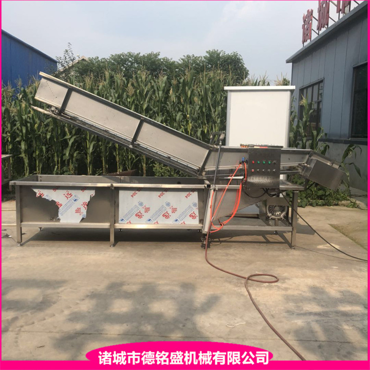 水果类草莓气泡清洗机 叶类不锈钢清洗风干线 海鲜自动清洗机