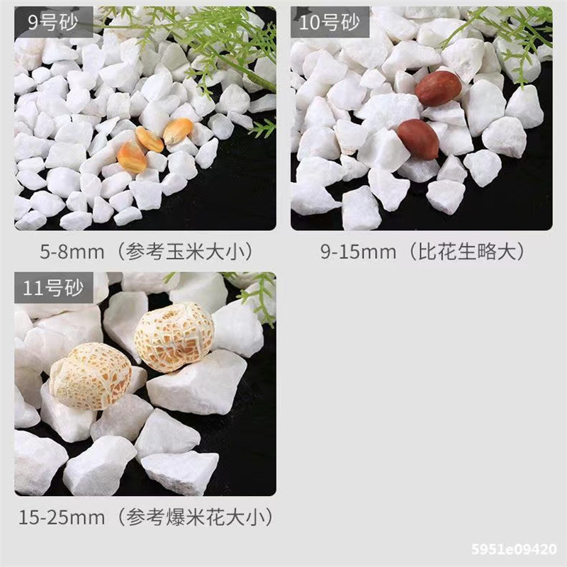 900a35d3cca3465439bba52cc40196