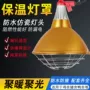 取暖防水可调加热灯罩