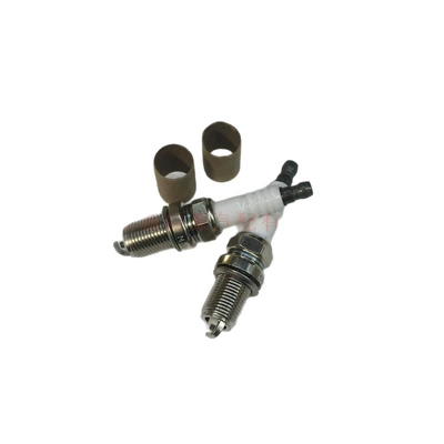 Bkr6Equp 3199, Alışdırma şamı (Sveçalar)