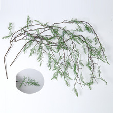 ����ڹ�âˮ�ݘ��پGֲ̦�\��֦���������쾰ɭϵ�b����T��ǧ�z