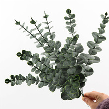 �F؛���Ϸ���ֲ��Gֲ�����b��~�Ӳ廨��ļٲ݆�֧�ȼ������X�~