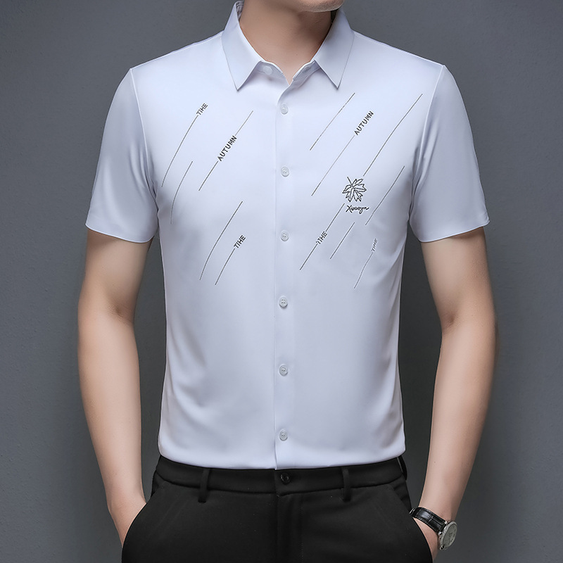 Như ảnh