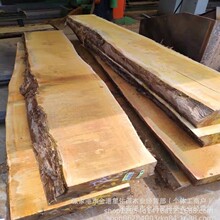 �SӲľԭľ�S��ľ�Sđľ�S̴ľ�Ҿ߹�ˇƷ�����Ͼ�Ʒ