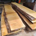 黄硬木原木黄乳木黄胆木黄檀木家具工艺品工程料精品