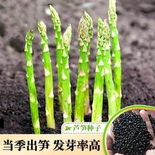 JSNӏSlļN߲֮GJSNѸֲ