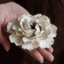 ���S�V�°���Ξĵ���������մɾ����бP�U�����Ҿ�С���Y��