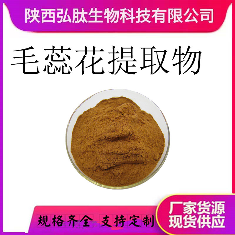毛蕊花提取物 10:1多规格 喷雾干燥 毛蕊花糖苷/浸膏 现货厂家
