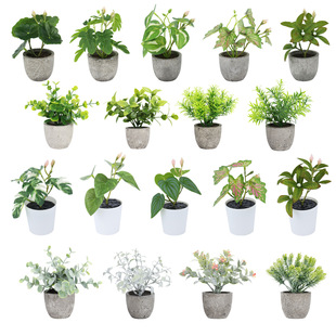 Spot Amazon Green Plant Artificial Potted Plant Combination Desktop Small Ornaments Artificial Flower Bonsai Mini Fake Flower Small Bonsai