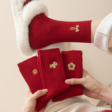 ������t�m��Ů��ɫ����Ͳ�ﶬ��2026�R��ɐ۴̽��Y����H�����m