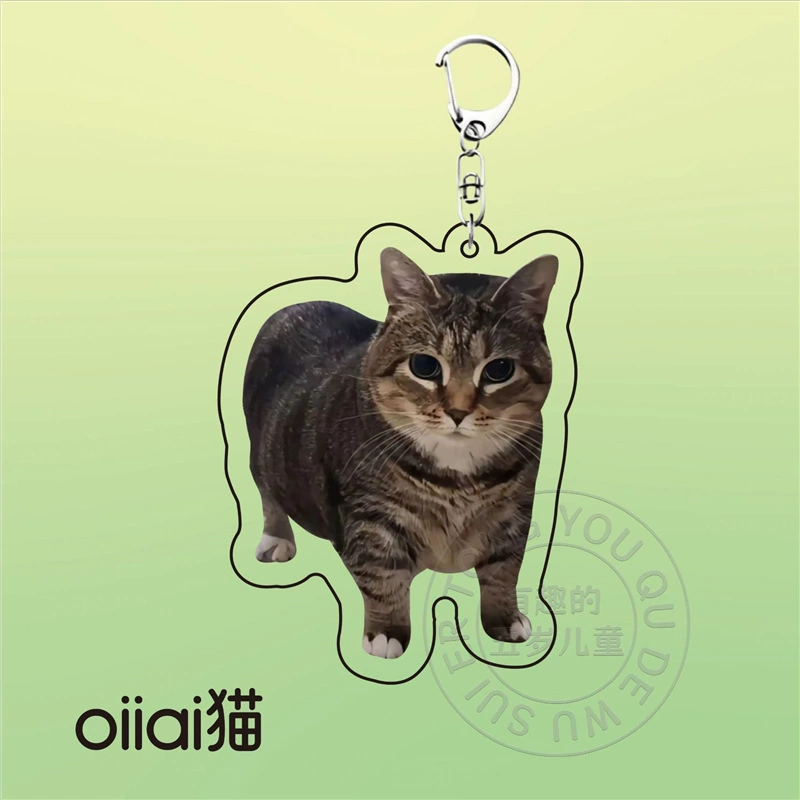 Acrylic cute keychain, backpack, pack, pendant for friend